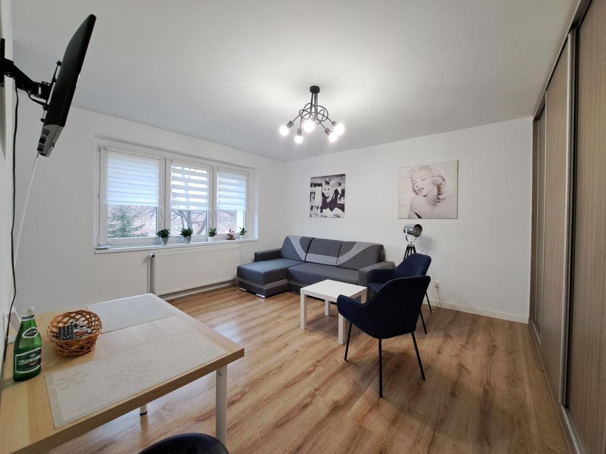 Dwa Pokoje Na Parterze Dla 2 I 2 Osob Apartment Chorzow Bagian luar foto